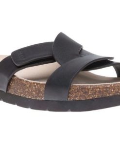 Vividvector.shop6f7bc3f256 1