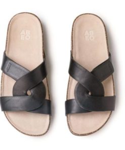 Vividvector.shop6f7bc3f256 2