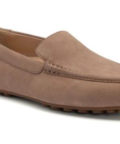 Vividvector.shop70794af287 1