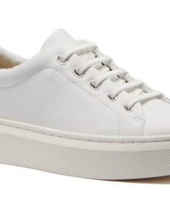 Vividvector.shop741a762f17 1