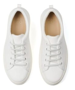 Vividvector.shop741a762f17 2