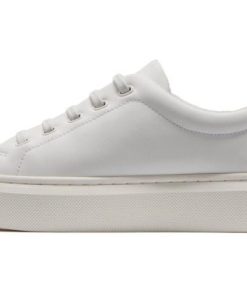 Vividvector.shop741a762f17 4