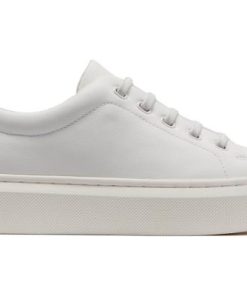 Vividvector.shop741a762f17 5