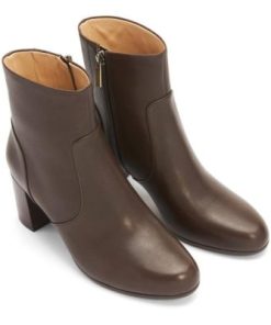 Vividvector.shop75ea40ccfb 2