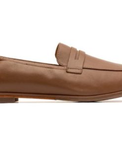 Vividvector.shop775b202381 5