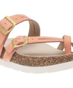 Vividvector.shop77b5b45324 1