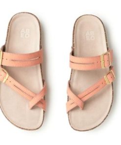 Vividvector.shop77b5b45324 2