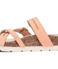 Vividvector.shop77b5b45324 4