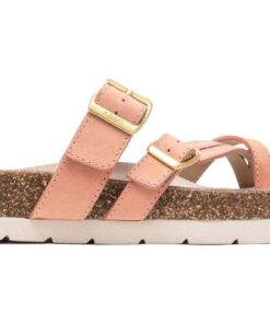 Vividvector.shop77b5b45324 5