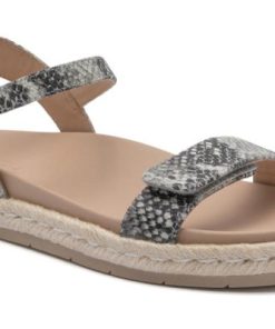 Vividvector.shop77d2c7c05b 1