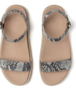 Vividvector.shop77d2c7c05b 2