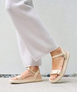 Vividvector.shop77d2c7c05b 3