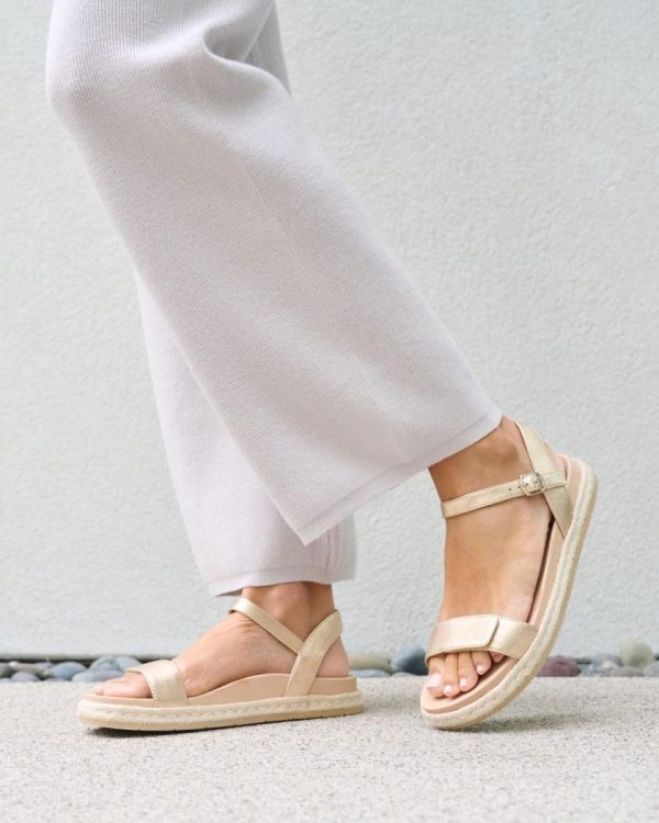 Vividvector.shop77d2c7c05b 3