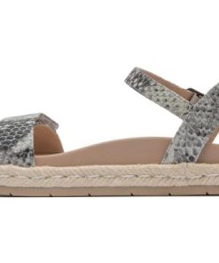 Vividvector.shop77d2c7c05b 4