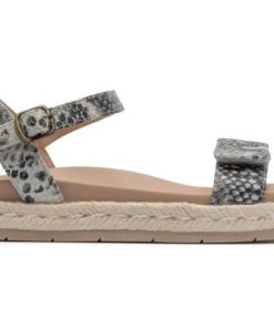 Vividvector.shop77d2c7c05b 5