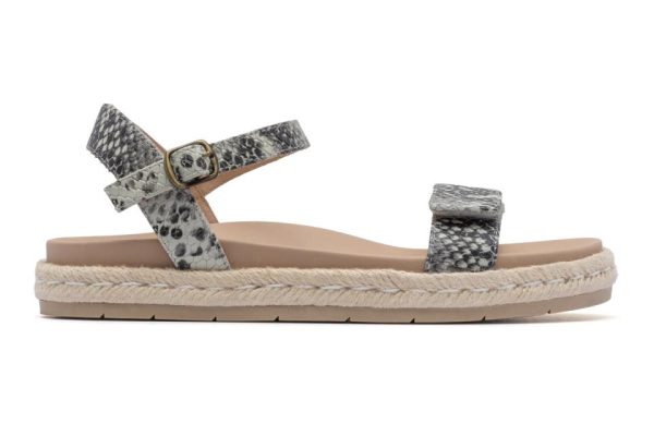 Vividvector.shop77d2c7c05b 5