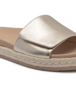 Vividvector.shop79577b22ae 1