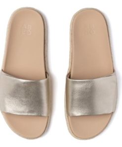 Vividvector.shop79577b22ae 2