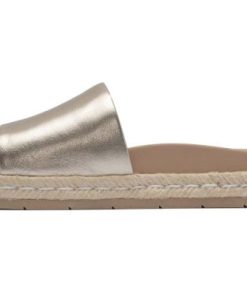 Vividvector.shop79577b22ae 4