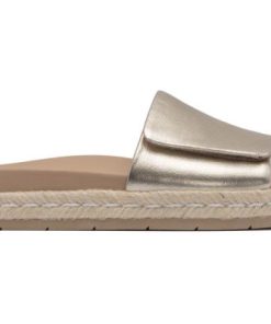 Vividvector.shop79577b22ae 5