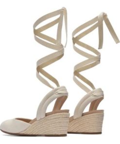 Vividvector.shop7d6734c9c4 5