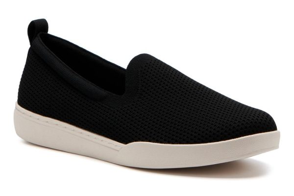 Vividvector.shop81386cfb43 1