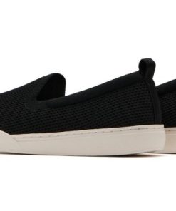 Vividvector.shop81386cfb43 5