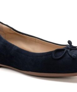 Vividvector.shop81f7c205d2 1