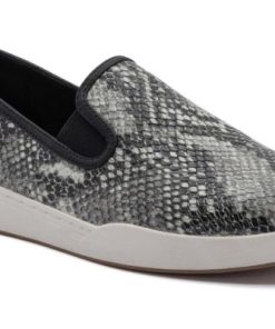 Vividvector.shop828aa8c9f7 1