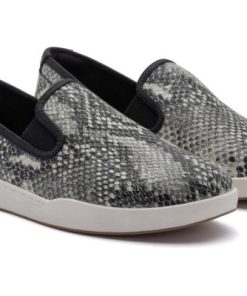 Vividvector.shop828aa8c9f7 3