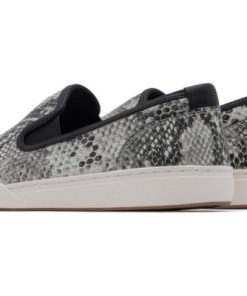 Vividvector.shop828aa8c9f7 4