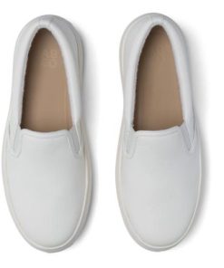 Vividvector.shop84e142ddef 2