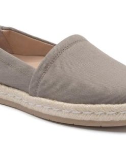 Vividvector.shop892bc5ff94 1