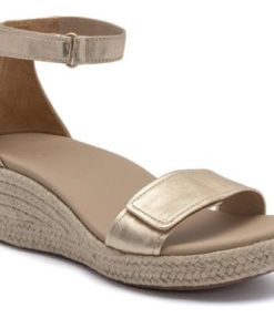 Vividvector.shop8a6059e104 1