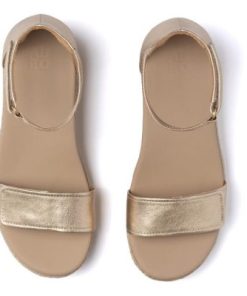 Vividvector.shop8a6059e104 2