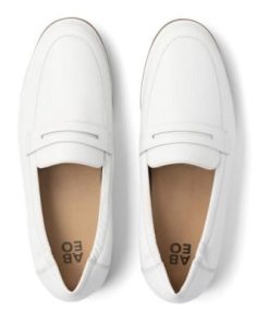 Vividvector.shop8bee6bebc1 2