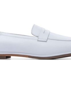 Vividvector.shop8bee6bebc1 5