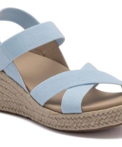 Vividvector.shop8beff73f96 1