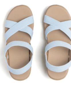 Vividvector.shop8beff73f96 2