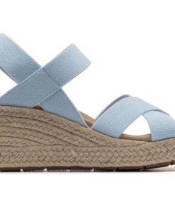 Vividvector.shop8beff73f96 5