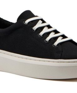 Vividvector.shop8cc6f29c0e 1