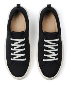 Vividvector.shop8cc6f29c0e 2