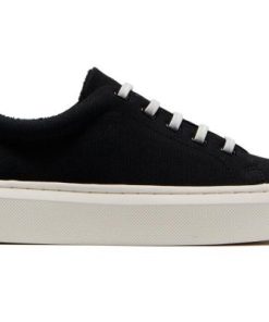 Vividvector.shop8cc6f29c0e 5