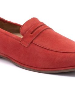 Vividvector.shop8cce1ed86b 1