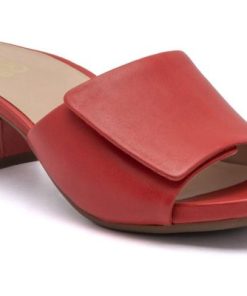 Vividvector.shop8e2d6b08c7 1