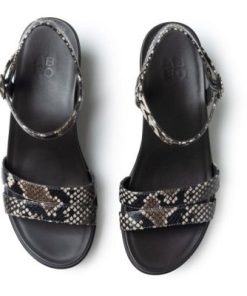 Vividvector.shop8ecbf60728 2