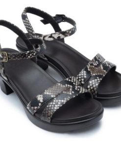 Vividvector.shop8ecbf60728 4