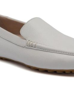 Vividvector.shop8f8e37a883 1