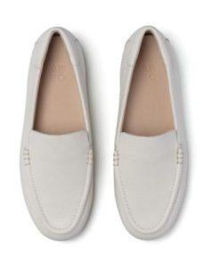 Vividvector.shop8f8e37a883 2