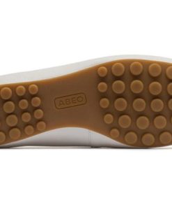 Vividvector.shop8f8e37a883 3